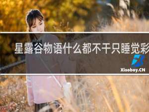 星露谷物语什么都不干只睡觉彩蛋