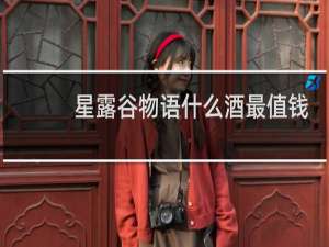 星露谷物语什么酒最值钱
