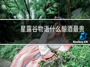 星露谷物语什么酿酒最贵