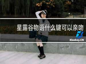 星露谷物语什么键可以亲吻