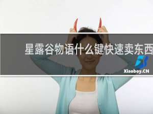 星露谷物语什么键快速卖东西