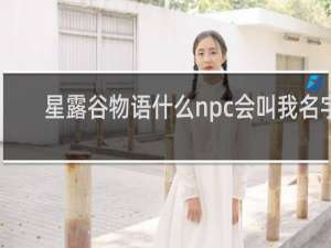 星露谷物语什么npc会叫我名字
