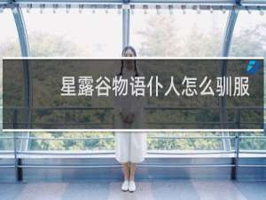 星露谷物语仆人怎么驯服