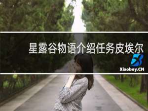 星露谷物语介绍任务皮埃尔