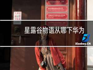 星露谷物语从哪下华为