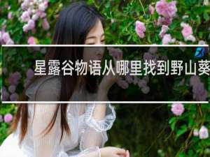 星露谷物语从哪里找到野山葵