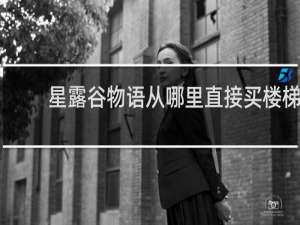 星露谷物语从哪里直接买楼梯