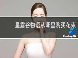 星露谷物语从哪里购买花束