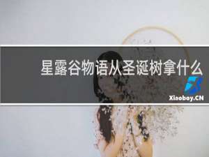 星露谷物语从圣诞树拿什么