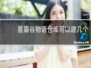 星露谷物语仓库可以建几个