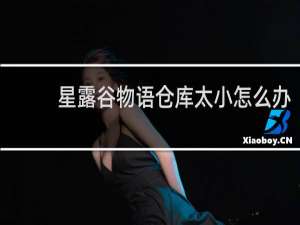 星露谷物语仓库太小怎么办