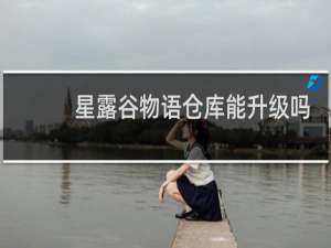 星露谷物语仓库能升级吗