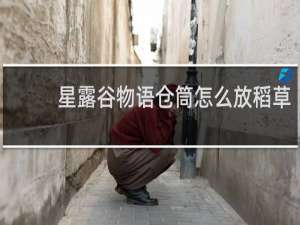 星露谷物语仓筒怎么放稻草