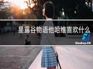 星露谷物语他哈维喜欢什么