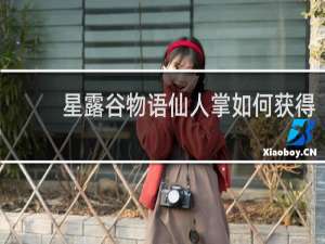 星露谷物语仙人掌如何获得