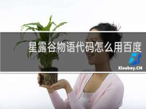 星露谷物语代码怎么用百度