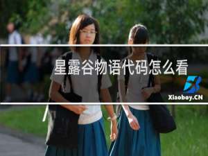 星露谷物语代码怎么看