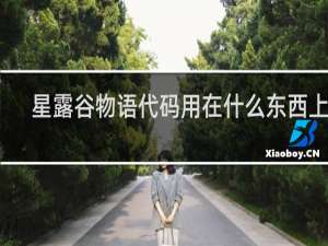星露谷物语代码用在什么东西上好