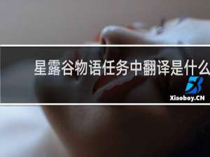星露谷物语任务中翻译是什么
