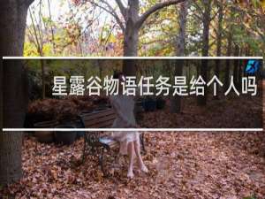 星露谷物语任务是给个人吗
