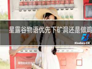 星露谷物语优先下矿洞还是做鸡舍