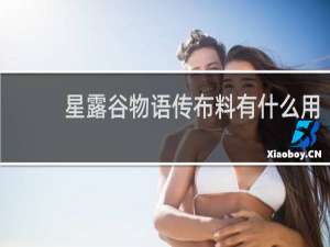 星露谷物语传布料有什么用