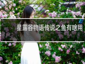 星露谷物语传说之鱼有啥用