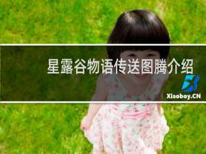 星露谷物语传送图腾介绍