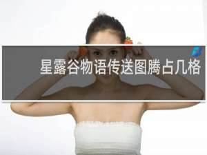 星露谷物语传送图腾占几格