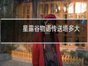 星露谷物语传送塔多大