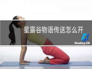 星露谷物语传送怎么开