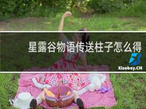 星露谷物语传送柱子怎么得