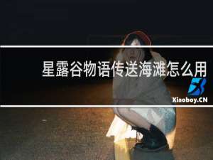 星露谷物语传送海滩怎么用