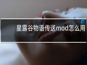 星露谷物语传送mod怎么用