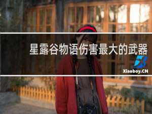 星露谷物语伤害最大的武器