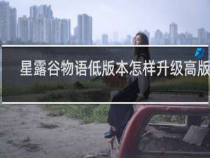 星露谷物语低版本怎样升级高版本