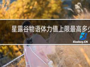 星露谷物语体力值上限最高多少
