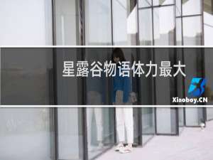星露谷物语体力最大