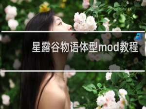 星露谷物语体型mod教程