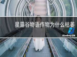 星露谷物语作物为什么枯萎