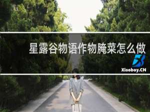 星露谷物语作物腌菜怎么做