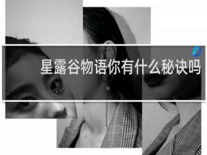 星露谷物语你有什么秘诀吗