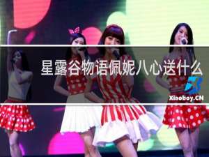 星露谷物语佩妮八心送什么