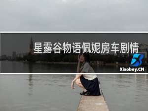 星露谷物语佩妮房车剧情