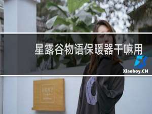 星露谷物语保暖器干嘛用