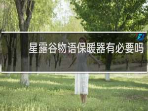 星露谷物语保暖器有必要吗