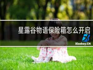 星露谷物语保险箱怎么开启
