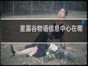 星露谷物语信息中心在哪