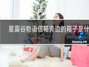 星露谷物语信箱旁边的箱子是什么