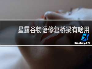 星露谷物语修复桥梁有啥用